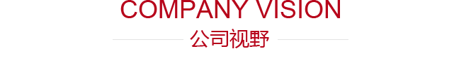 公司視野